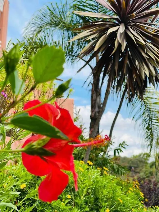 Apartment Droom Appartement Free Golf, Padel,Gym&Welness La Mairena Spain